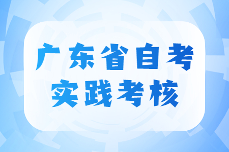 廣東省自考實踐考核成績查詢